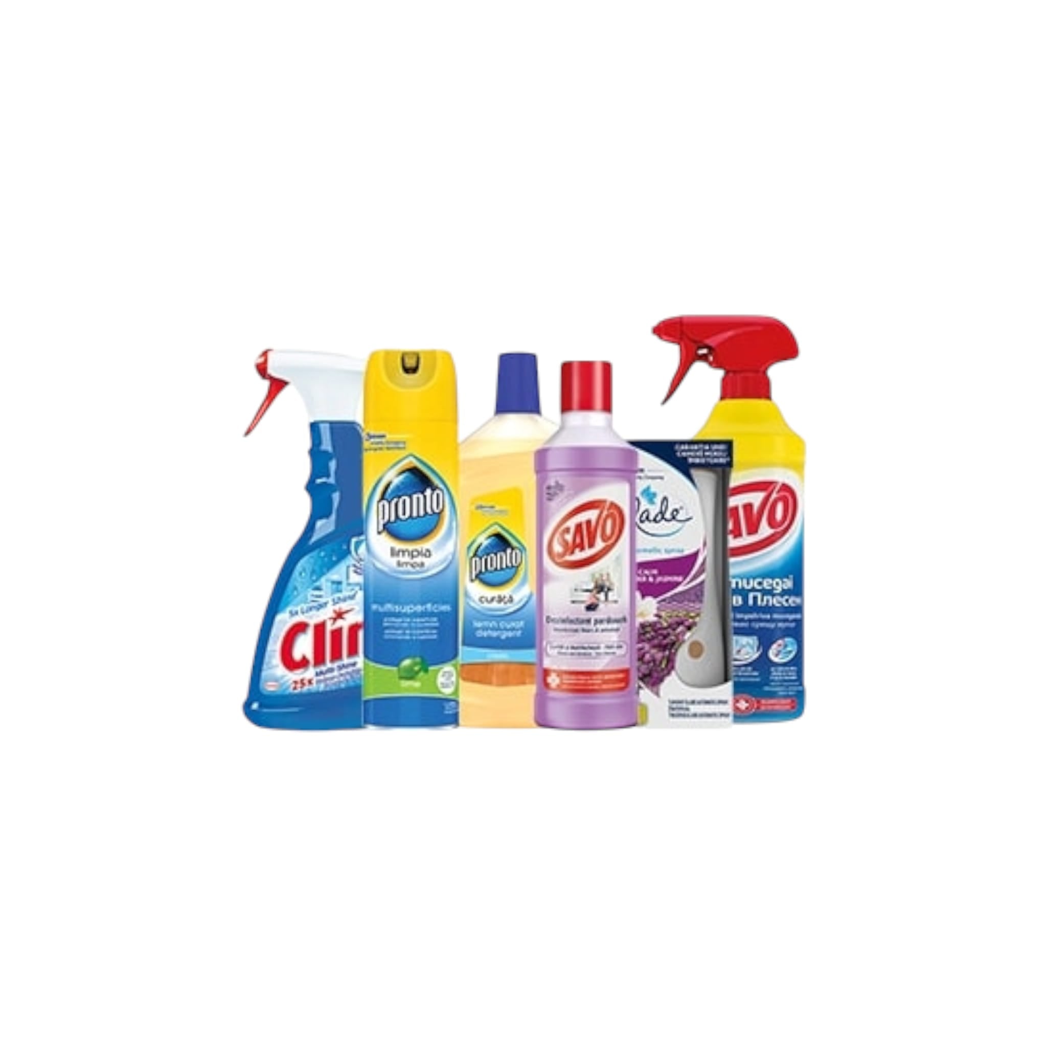 CURATENIE SI INTRETINERE CASA