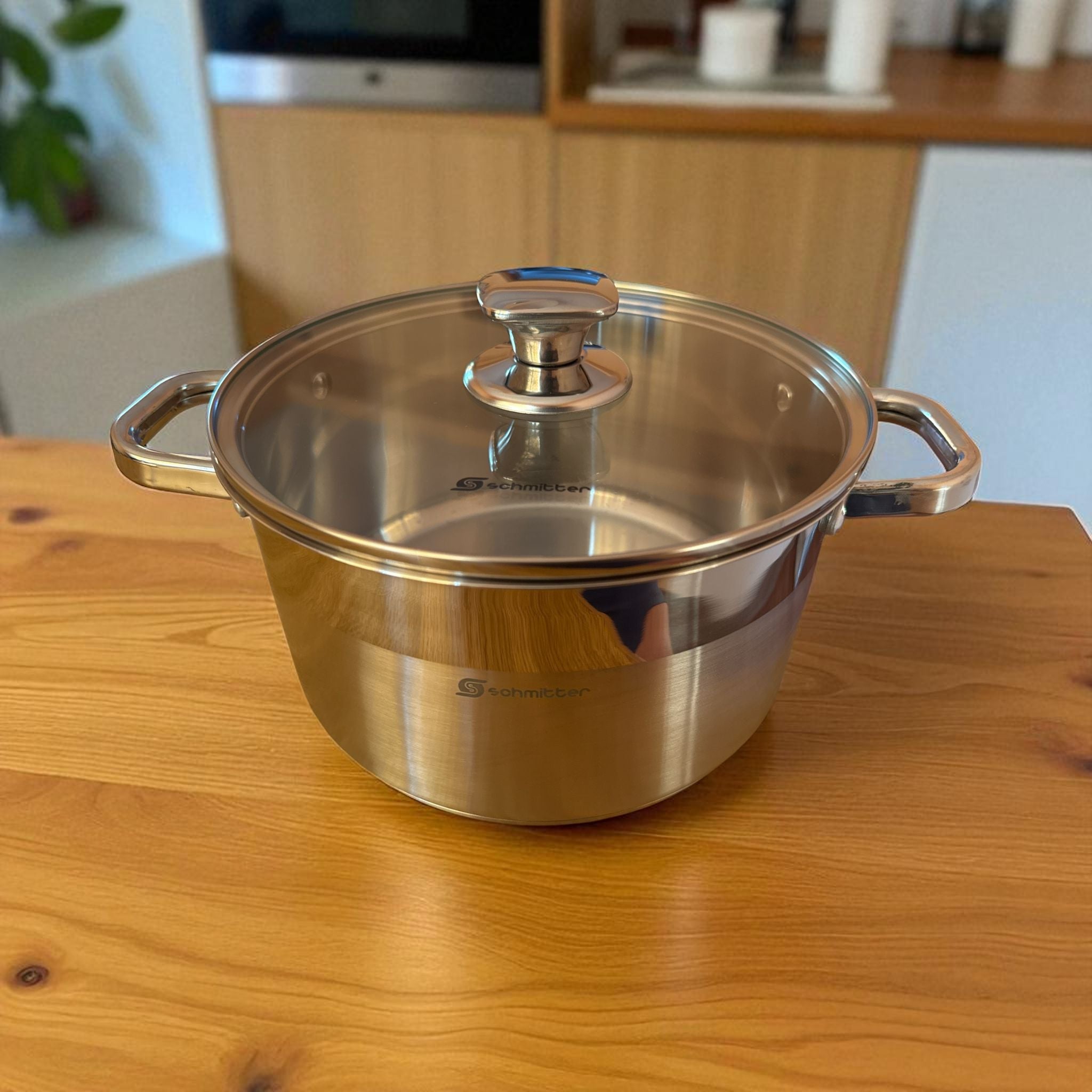 Oală Inox Schmitter 22 cm cu Capac – 4 L – Calitate Premium pentru Bucătăria Ta